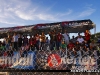 mini-_MG_6485