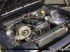 mini-_MG_5394